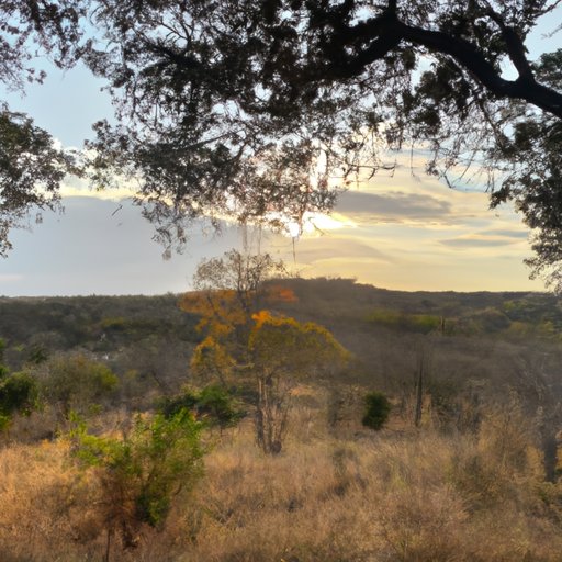 Experience the Magic of Africa in November