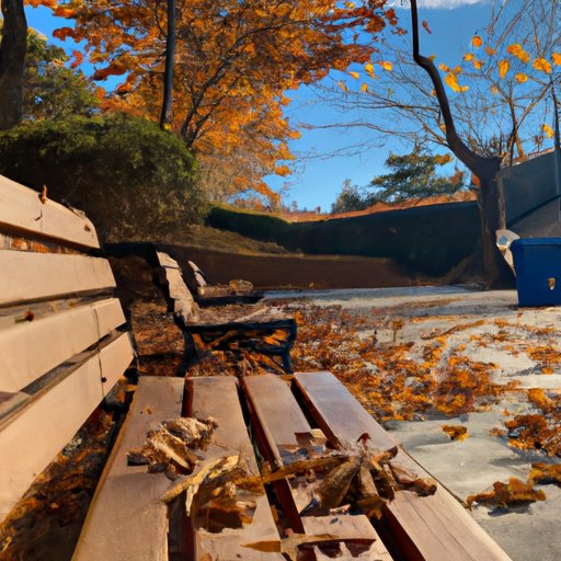 Benefits of Vacationing in Autumn