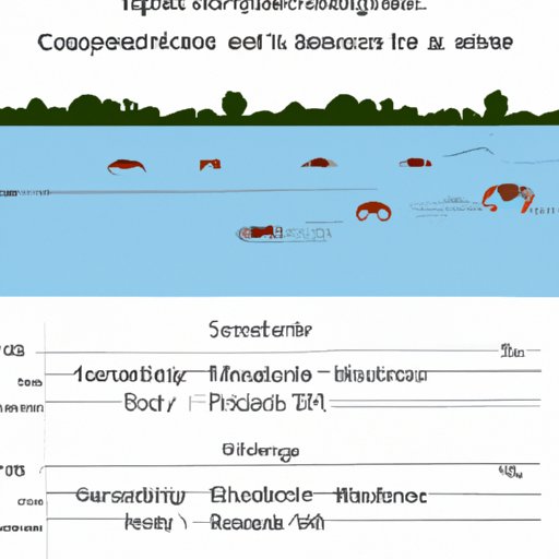 Analyzing the Critical Reception of Where the Crawdads Sing Movie
