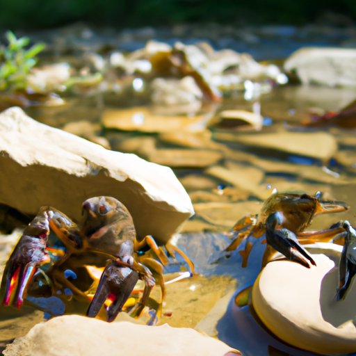 A Critical Look at Where the Crawdads Sing Movie