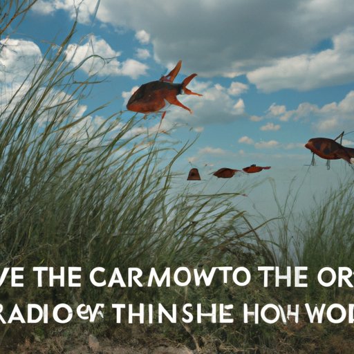 Where the Crawdads Sing Review – A Cinematic Masterpiece