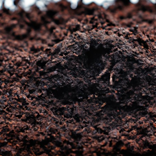 The Hidden Health Benefits of Eating Dirt