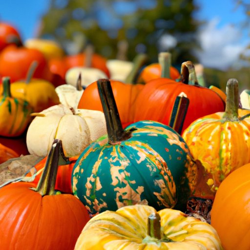 Exploring the Best Fall Festivals Around the World