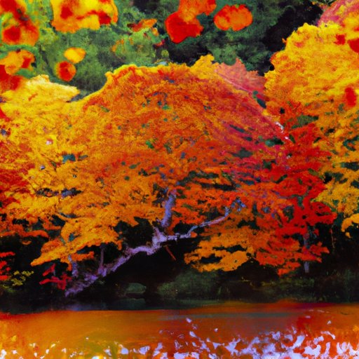 The Best Places to See Fall Foliage Around the World