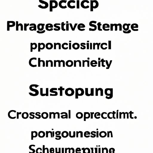 Comparing the Different Types of Computer Science Programs