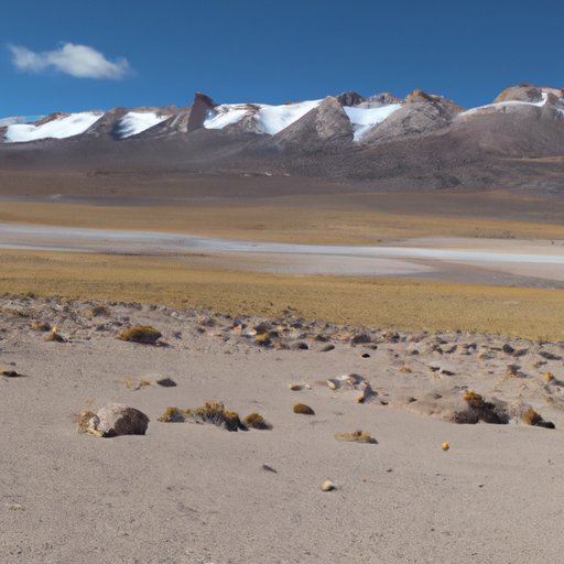 Exploring the Natural Wonders of South America in February 2022