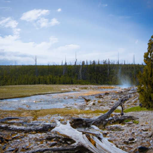 Get Wild in Yellowstone National Park