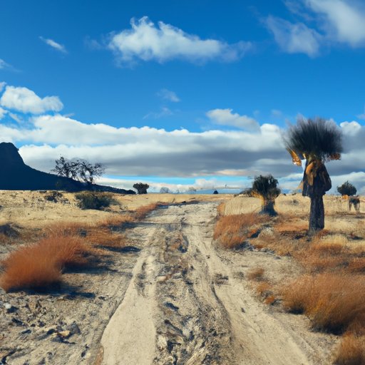 Off the Beaten Path: 5 Unique Places to Visit in February 2022