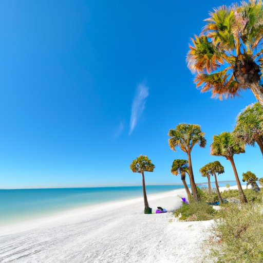 Exploring the Sunshine State: Florida Vacation Ideas for February 2022