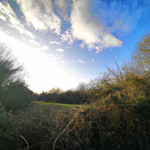 Exploring the Wonders of Nature in January 2022