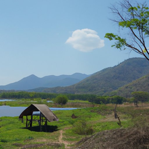 Wildlife Viewing and Nature Tours