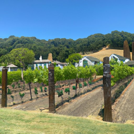 A Week in Wine Country: Napa Valley or Sonoma