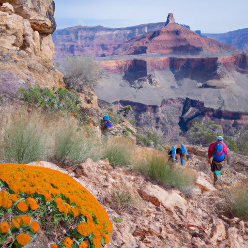 Hike through the Grand Canyon for Spring Wildflowers