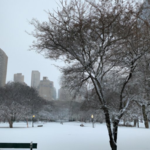 Enjoy a Winter Wonderland in Chicago