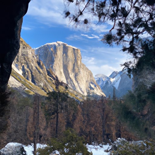 Exploring National Parks in January