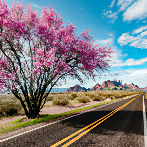 Exploring the US in March: A Guide to the Best Destinations for Spring Travel