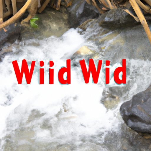 Stream Wild on YouTube or Other Online Video Sites