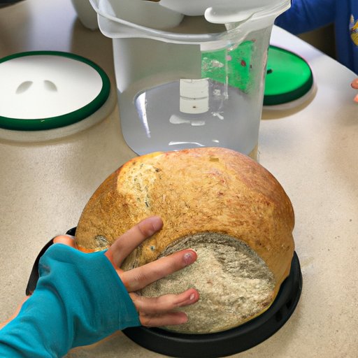 Investigating the Science Behind Bread Making