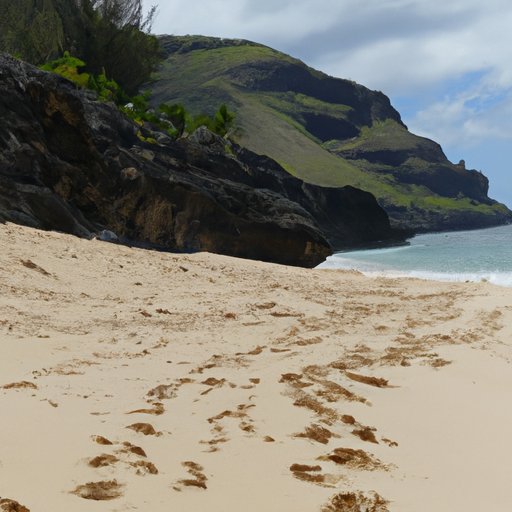 Tracing the Footsteps of Tom Hanks and Other Castaways – Where the Movie Was Filmed