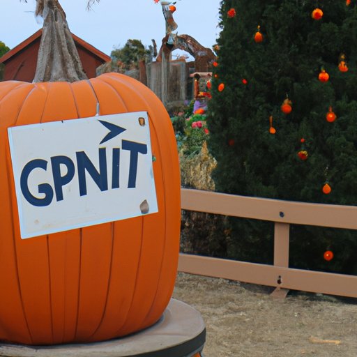 Take a Tour of the Sets and Locations Seen in Pumpkin Everything