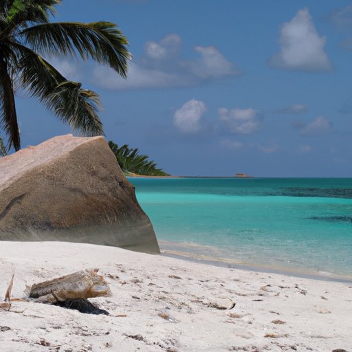 On Location: Uncovering the Secrets of Ticket to Paradise