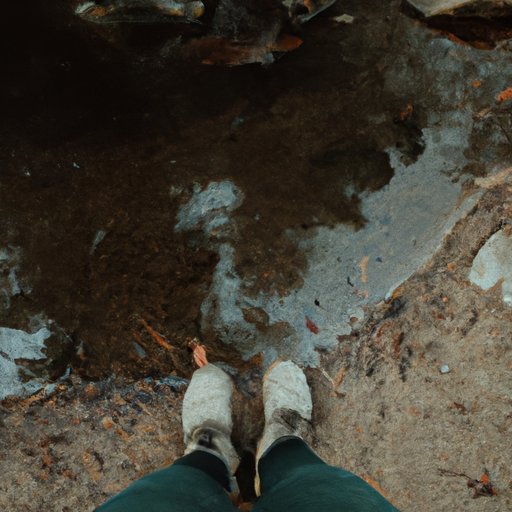 A Photographic Tour of Where We Are Headed