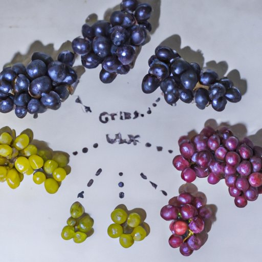 Antioxidant Content of Different Grapes