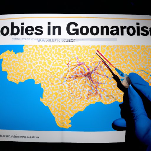 Investigating the Deadly Spread of a Highly Communicable Disease Across Borders