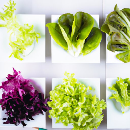 Taste Test: Comparing Different Types of Lettuce