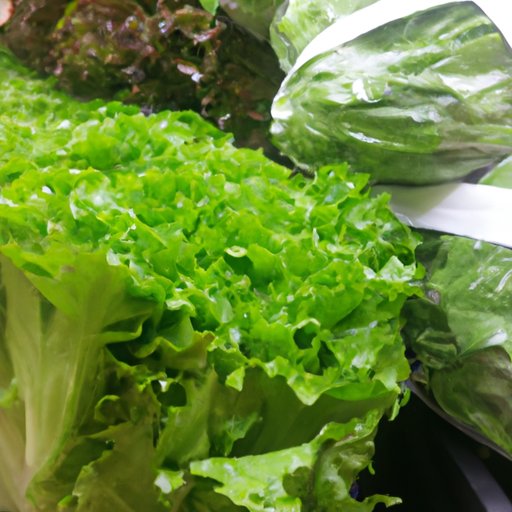 Tips for Selecting the Right Lettuce for Your Needs
