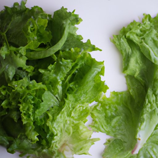 How to Choose the Healthiest Lettuce for Your Diet