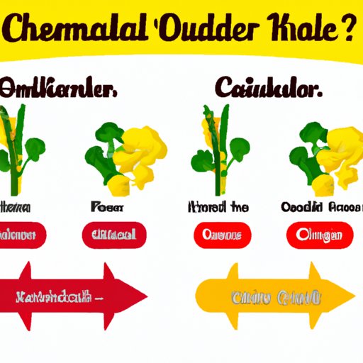 A Guide to Choosing Between Canola and Vegetable Oils