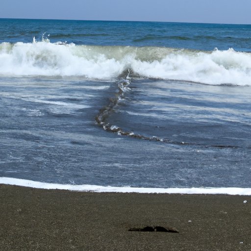 Comparing Wave Speeds: Investigating which Wave Travels the Fastest