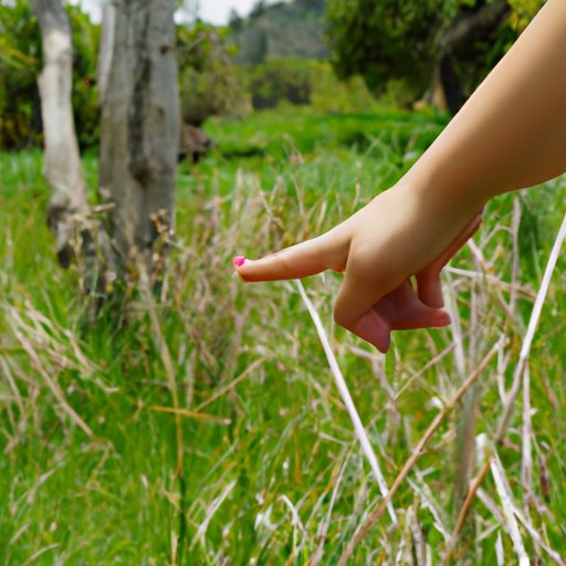 Exploring the Nature and Consequences of Finger Wagging