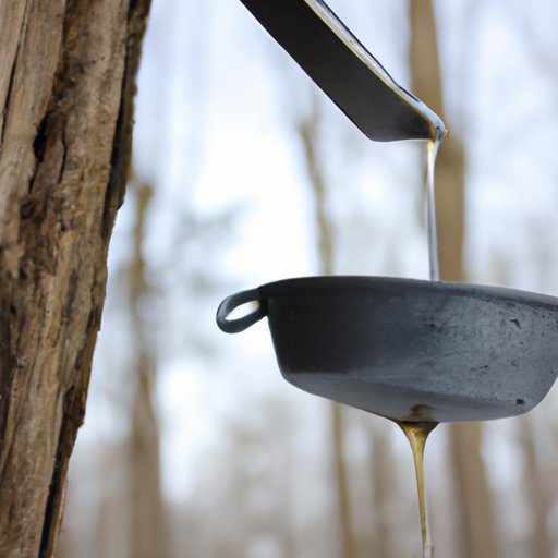Who Invented Maple Syrup? A Comprehensive Guide to the History and