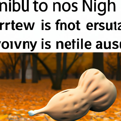 Exploring the Origins of No Nut November
