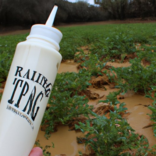 The History of Ranch Dressing Who Invented This Popular Condiment