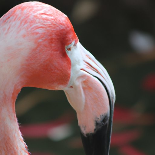 A Retrospective on the Genius Behind the Pink Flamingo