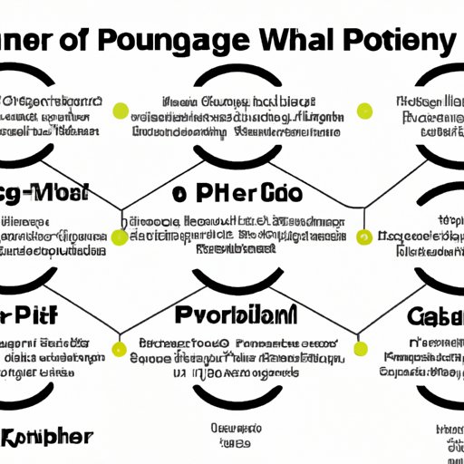 Overview of Past Suspensions in the PGA Tour