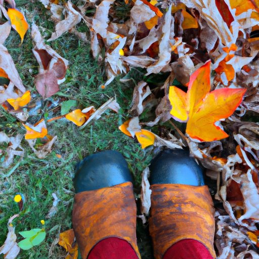 Exploring the Impact and Legacy of the Season