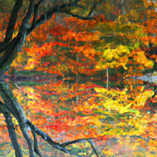 Reflection on the Season as a Whole