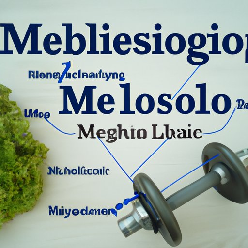 Exploring the Role of Metabolism in Weight Loss