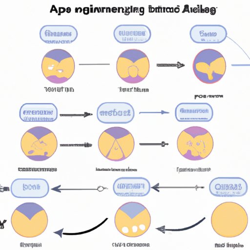 Exploring the Role of Alleles in DNA Profiling
