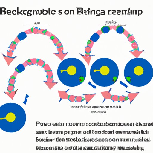 How Bacteria Contribute to Recombinant DNA Technology