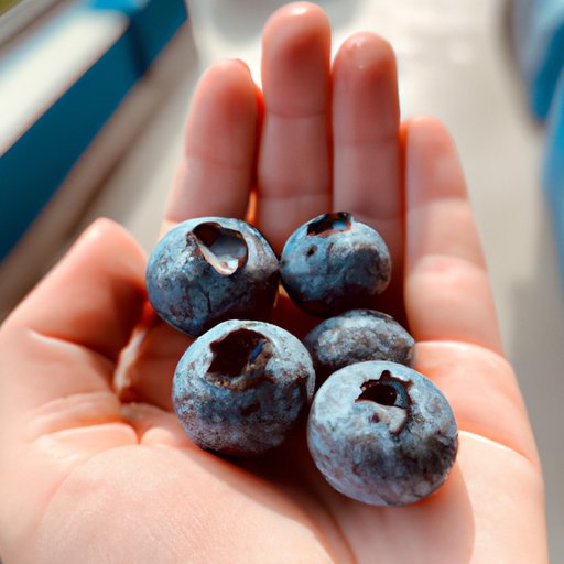 Exploring the Nutritional Benefits of Blueberries