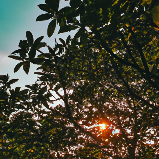 How Your Phone Wallpaper Can Inspire You