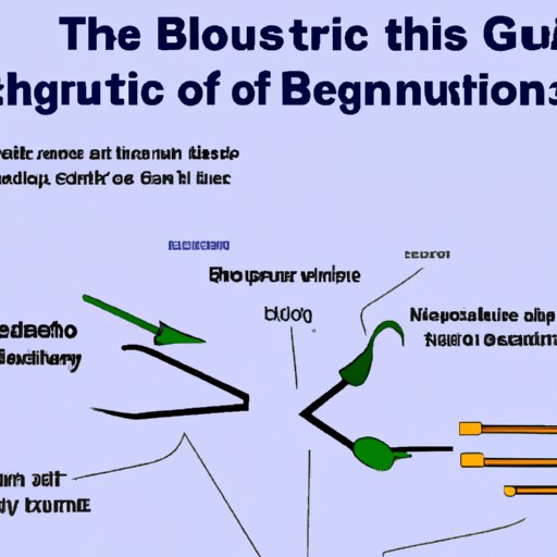 Understanding the Role of Gut Bacteria in Gas Production