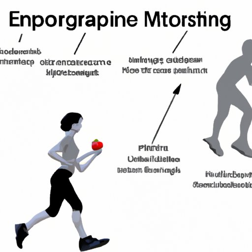 Exploring the Effects of Exercise on Appetite