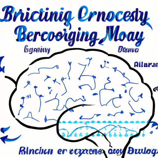 Highlighting the Impact of Exercise on Brain Chemistry
