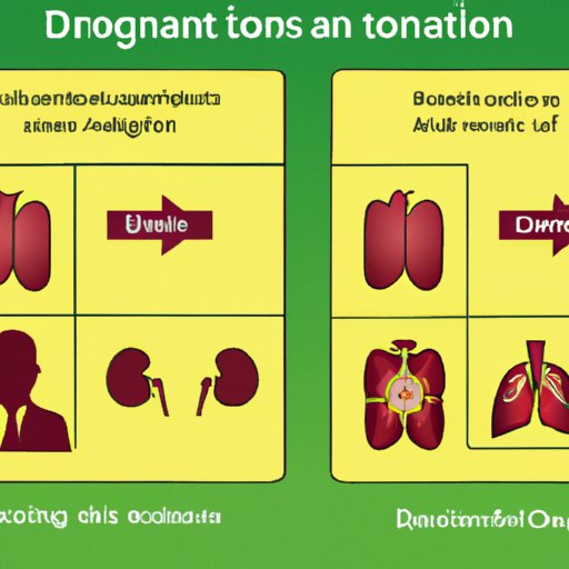 Impact of Body Donation on Organ Transplants